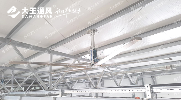 大王通風(fēng)助力俄羅斯牛場畜牧養(yǎng)殖