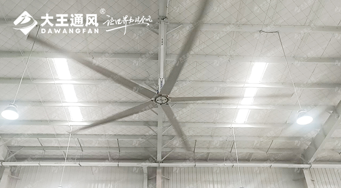 大王通風攜手維通利電氣：告別炎熱困擾，釋放清涼一夏！