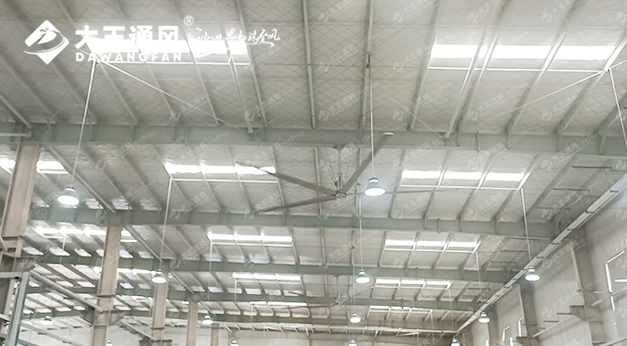 大王通風攜手維通利電氣：告別炎熱困擾，釋放清涼一夏！