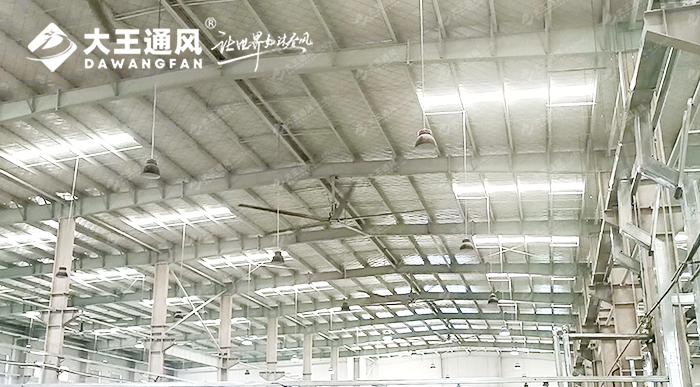 大王通風攜手維通利電氣：告別炎熱困擾，釋放清涼一夏！