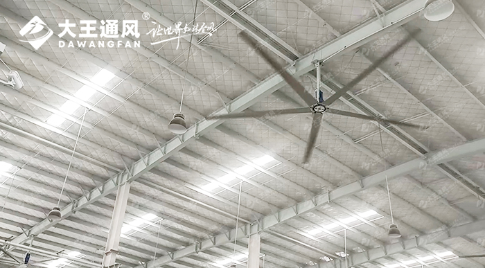 大王通風攜手維通利電氣：告別炎熱困擾，釋放清涼一夏！