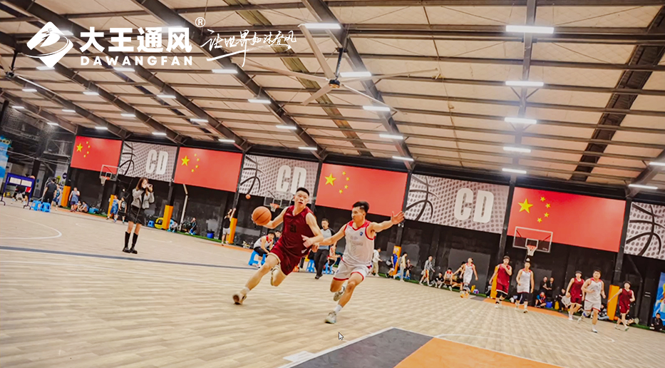 要運動也要舒適！CD球館新風尚！大王通風超大覆蓋，清涼無限！