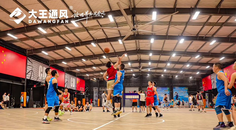 要運動也要舒適！CD球館新風尚！大王通風超大覆蓋，清涼無限！