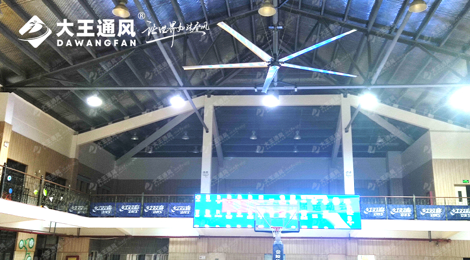 大王風(fēng)扇亮相錦天體育，打造舒適運動環(huán)境，運動達(dá)人熱薦?。?！