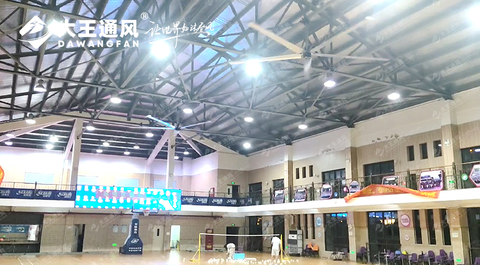 大王風(fēng)扇亮相錦天體育，打造舒適運動環(huán)境，運動達(dá)人熱薦！??！